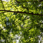 那須塩原で旅行ついでに内見してみた