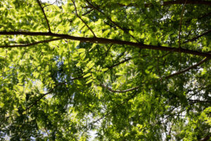 那須塩原で旅行ついでに内見してみた