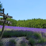 旅行記（北海道：2日目）