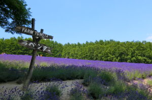 旅行記（北海道：2日目）