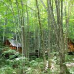 旅行記（北海道：3日目）