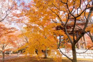 2年ぶりの旅行（京都〜奈良：京都編3日目）